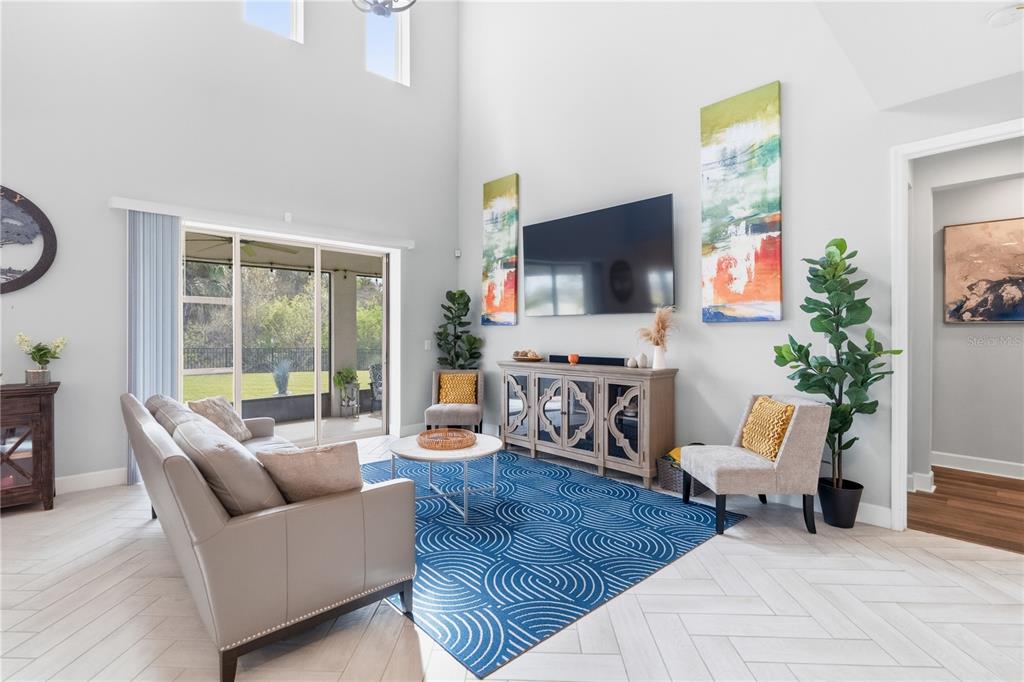 A living room features a blue patterned rug, a television, and a sliding glass door — 4939 LOS ROBLES COURT, PALMETTO, FL