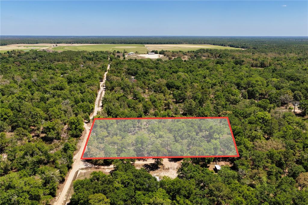 An aerial view shows a rectangular plot of wooded land outlined in red — 2 NE 125TH STREET, BRONSON, FL