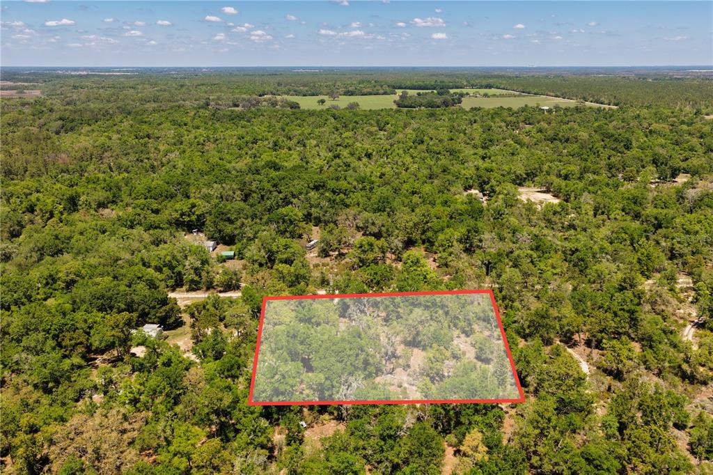 An aerial view shows a rectangular plot of land outlined in red amidst a wooded area — 2 NE 125TH STREET, BRONSON, FL