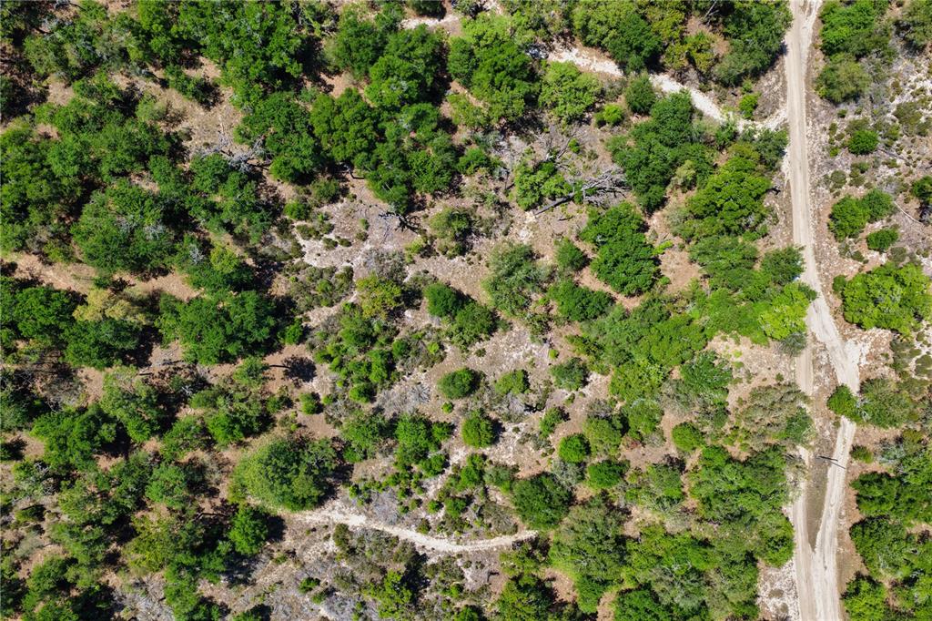 An aerial view shows a dirt road running alongside a wooded area with scattered trees — 2 NE 125TH STREET, BRONSON, FL