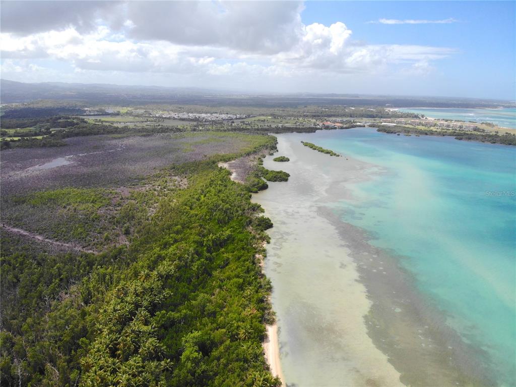 An aerial view shows a coastline with a sandy beach, dense forest, and turquoise water — 968 CAMINO LAS PICUAS UNIT 26-30, RIO GRANDE, PR