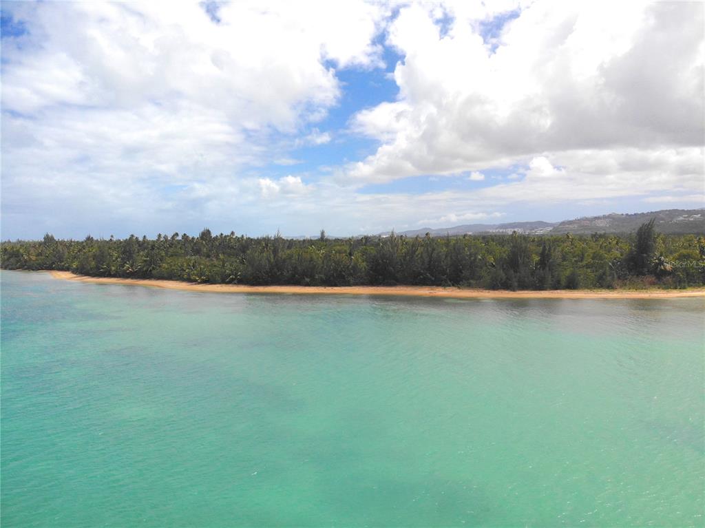 An aerial view of a sandy beach bordered by dense tropical trees and turquoise water — 968 CAMINO LAS PICUAS UNIT 26-30, RIO GRANDE, PR