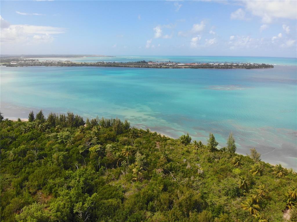 An aerial view shows a lush, tree-covered coastline overlooking a turquoise bay and distant land — 968 CAMINO LAS PICUAS UNIT 26-30, RIO GRANDE, PR