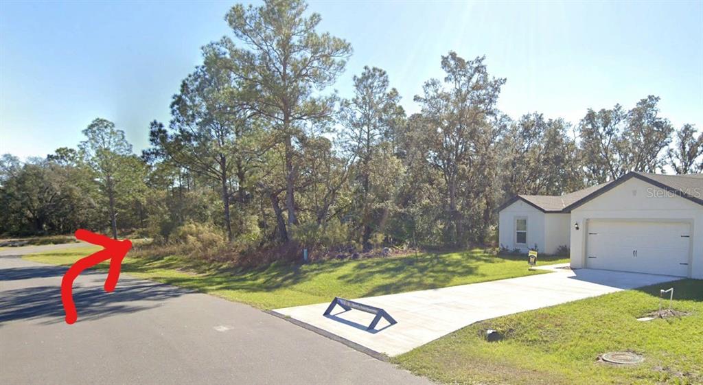 A view of a residential street showing a house, driveway, and adjacent wooded lot — 364 BOWFIN DRIVE, POINCIANA, FL