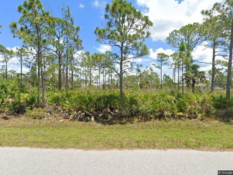 A vacant, wooded lot with pine trees and low-lying vegetation sits along a paved road — 3074 EL SALVADOR ROAD, PORT CHARLOTTE, FL