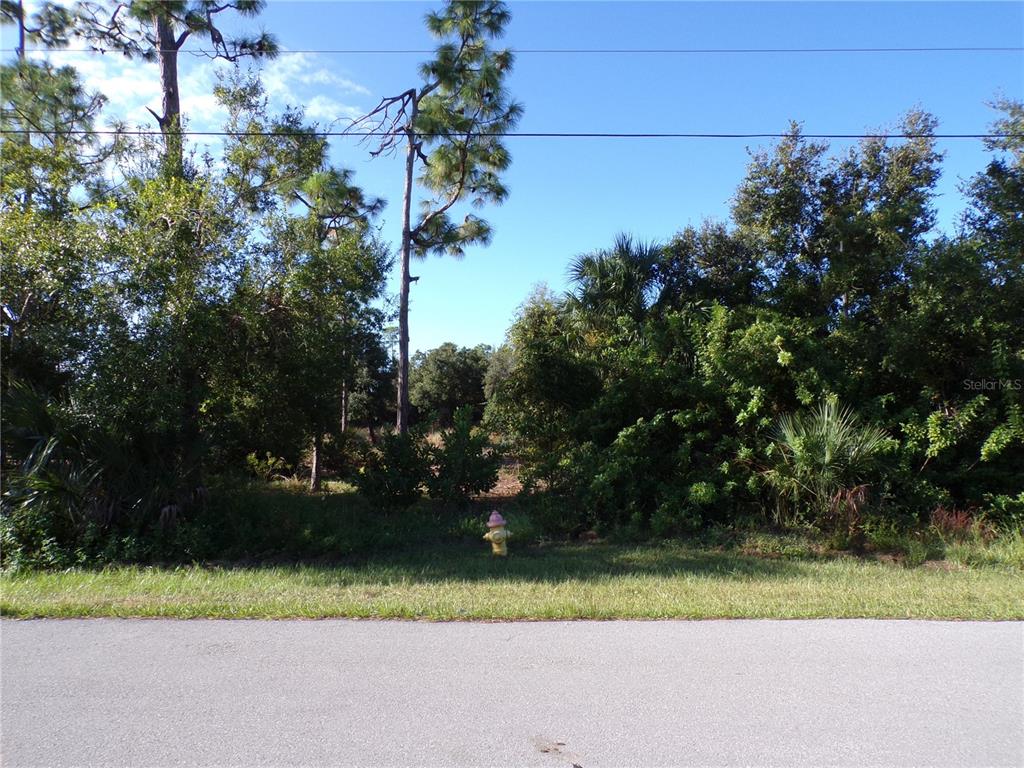 A vacant, wooded lot features a fire hydrant near the edge of a paved road — 25079 HARBORSIDE BOULEVARD, PUNTA GORDA, FL