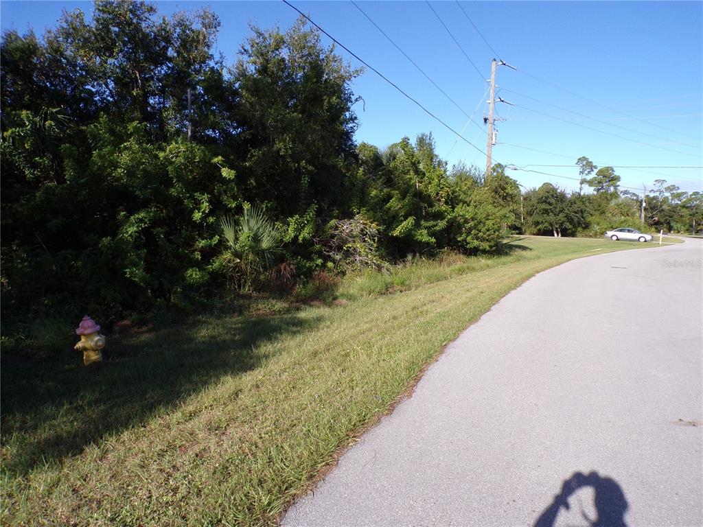 A fire hydrant sits on a grassy verge next to a road and dense vegetation — 25079 HARBORSIDE BOULEVARD, PUNTA GORDA, FL