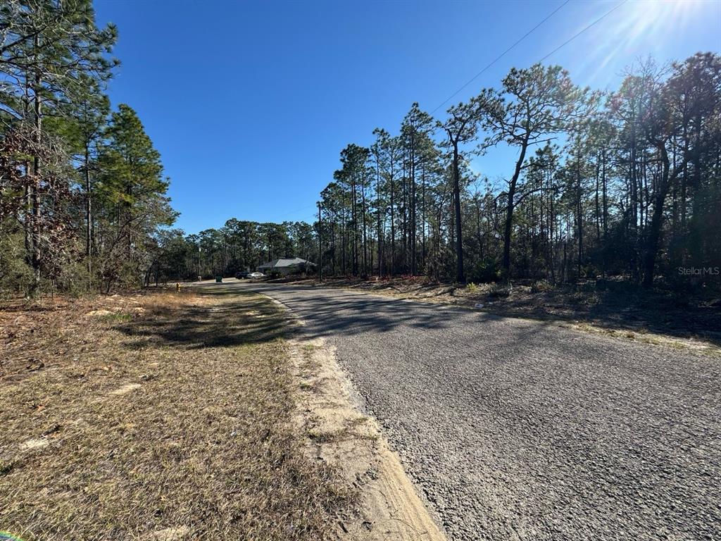 A paved road winds through a wooded area with a house visible in the distance — 9367 N FAIRY LILLY DRIVE, CITRUS SPRINGS, FL