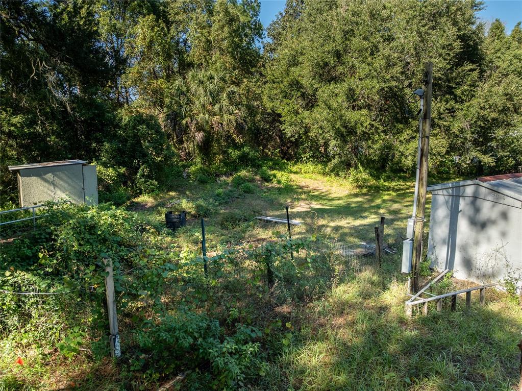A grassy backyard features two storage sheds, a utility pole, and overgrown vegetation — 27726 LUELLA AVENUE, PAISLEY, FL