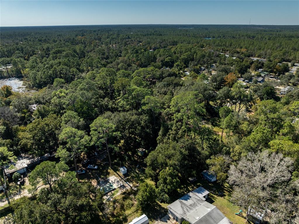 An aerial view shows a wooded residential lot with a house and several small structures — 27726 LUELLA AVENUE, PAISLEY, FL
