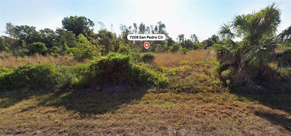 An overgrown vacant lot features tall grasses, shrubs, and palm trees under a clear sky — 7208 SAN PEDRO CIRCLE, PORT CHARLOTTE, FL
