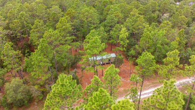 An aerial view shows a small mobile home nestled among pine trees near a dirt road — 10890 SE 133RD AVENUE, DUNNELLON, FL