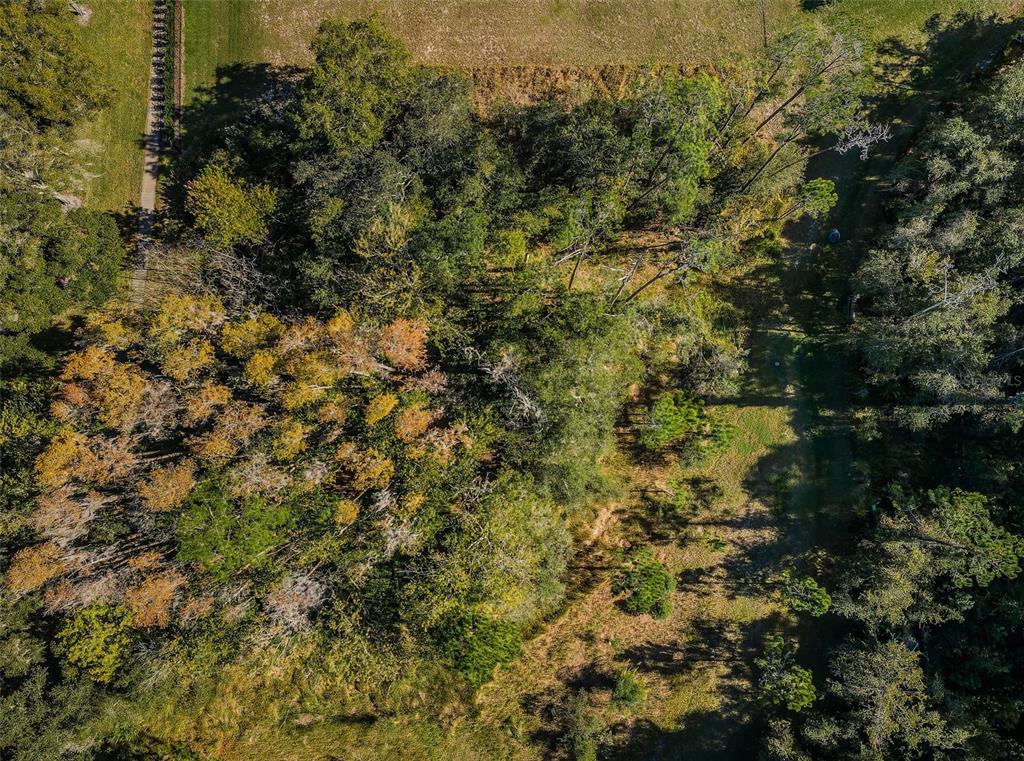 4445 LANSBROOK PARKWAY, PALM HARBOR, FL — photo 2 of 30