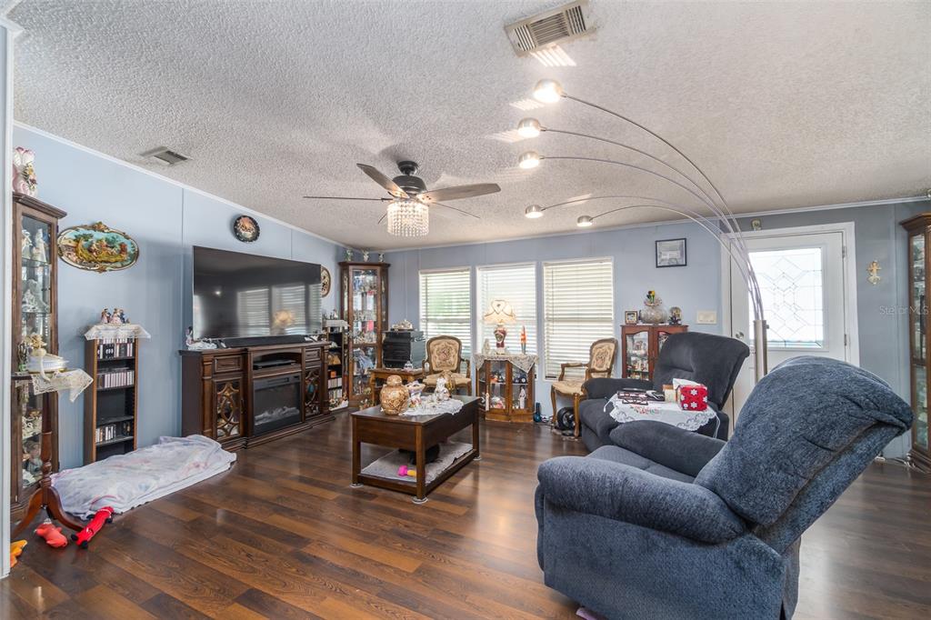 A living room features wood-look flooring, a ceiling fan, a large television, and blue walls — 14926 DOUGLAS STREET, DADE CITY, FL