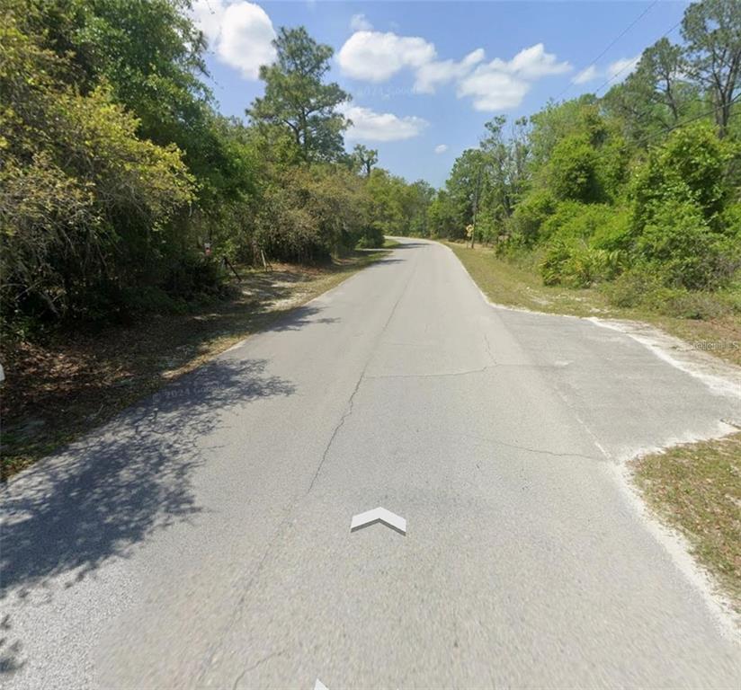 A paved road winds through a wooded area with dense green trees on both sides — 12955 RIO VISTA AVENUE, NEW PORT RICHEY, FL