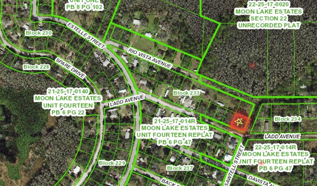 This is a map showing property parcel boundaries and street names in a residential area — 12955 RIO VISTA AVENUE, NEW PORT RICHEY, FL