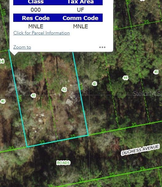 This is a map showing a highlighted parcel of land near Duchess Avenue — 13027 DUCHESS AVENUE, NEW PORT RICHEY, FL