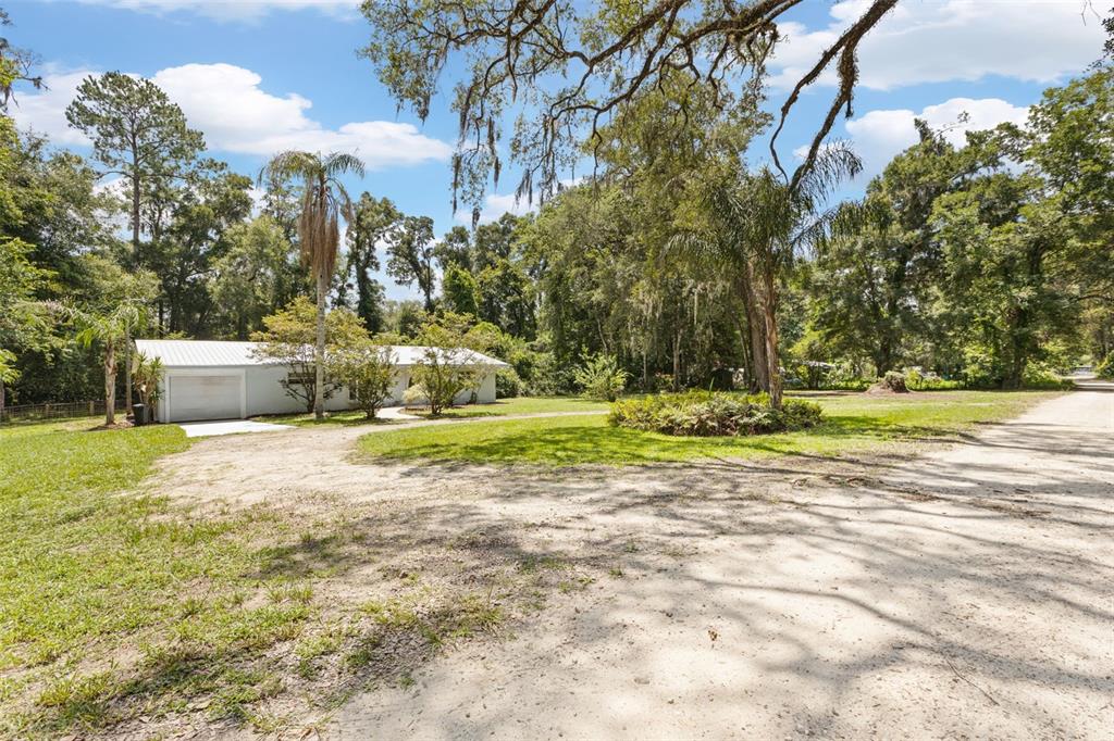 A white house with a metal roof sits on a large, wooded dirt lot — 3151 NE 176TH TERRACE, WILLISTON, FL