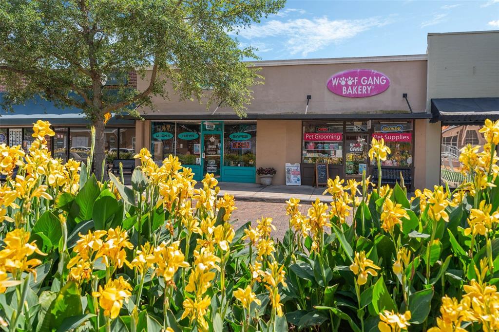 A storefront with a Woof Gang Bakery sign sits behind a bed of yellow flowers — 18 & 20 E PLANT STREET, WINTER GARDEN, FL