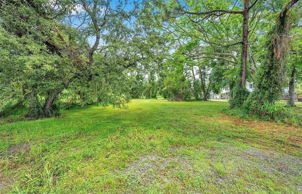 A grassy, tree-lined vacant lot with a gravel area in the foreground — 1ST AVENUE N, SAFETY HARBOR, FL
