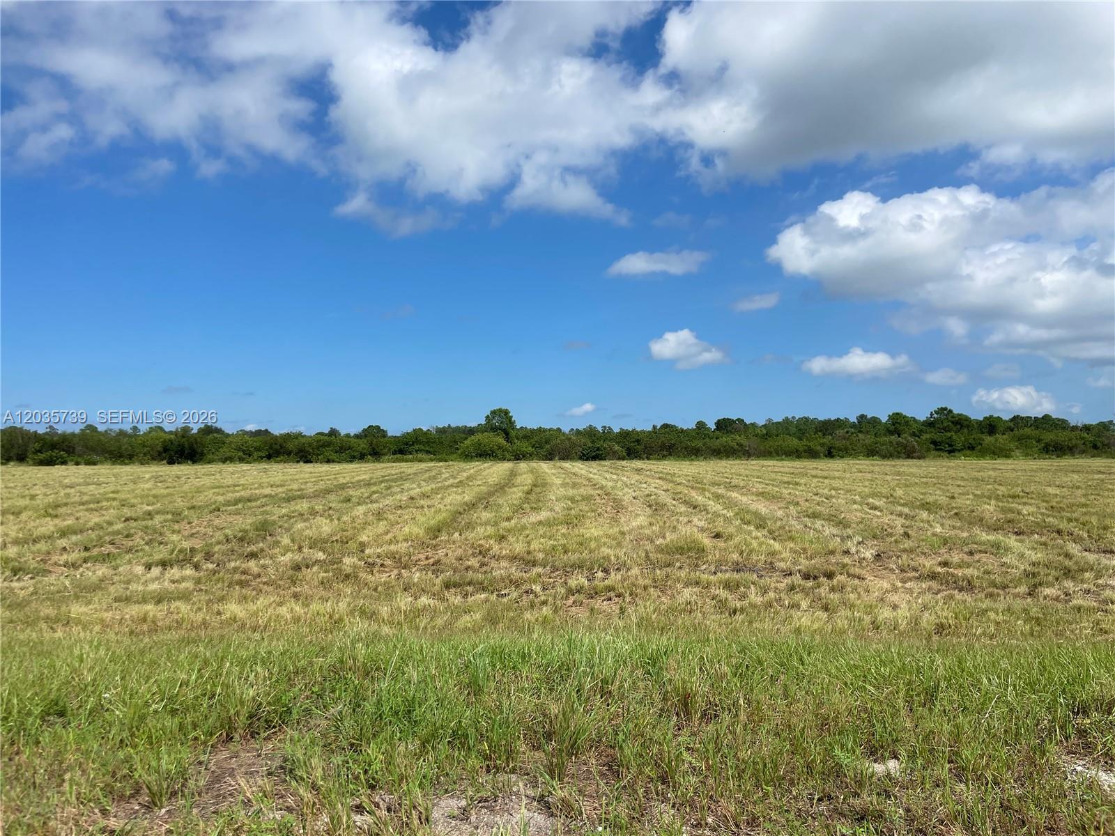 A wide, flat, grassy field stretches toward a distant line of trees under a blue sky — Christopher Lane, Clewiston FL 33440, CLEWISTON, FL