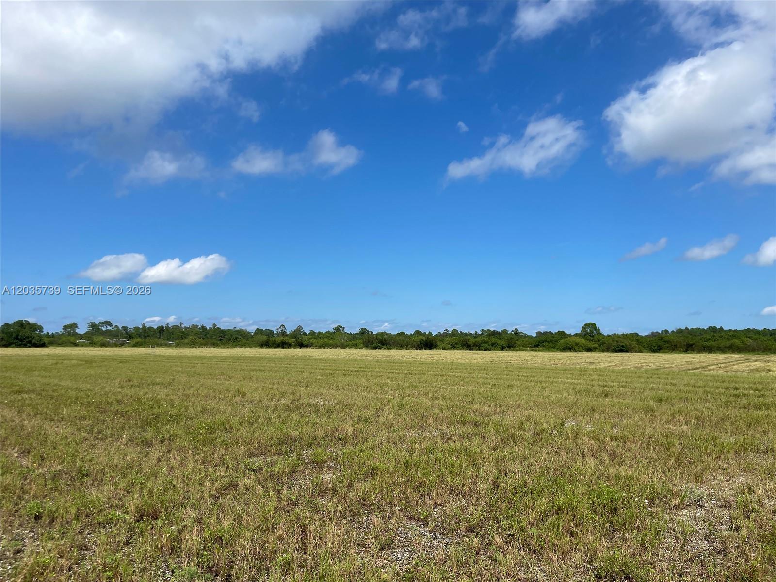 A wide, flat, grassy field stretches toward a distant tree line under a blue sky — Christopher Lane, Clewiston FL 33440, CLEWISTON, FL