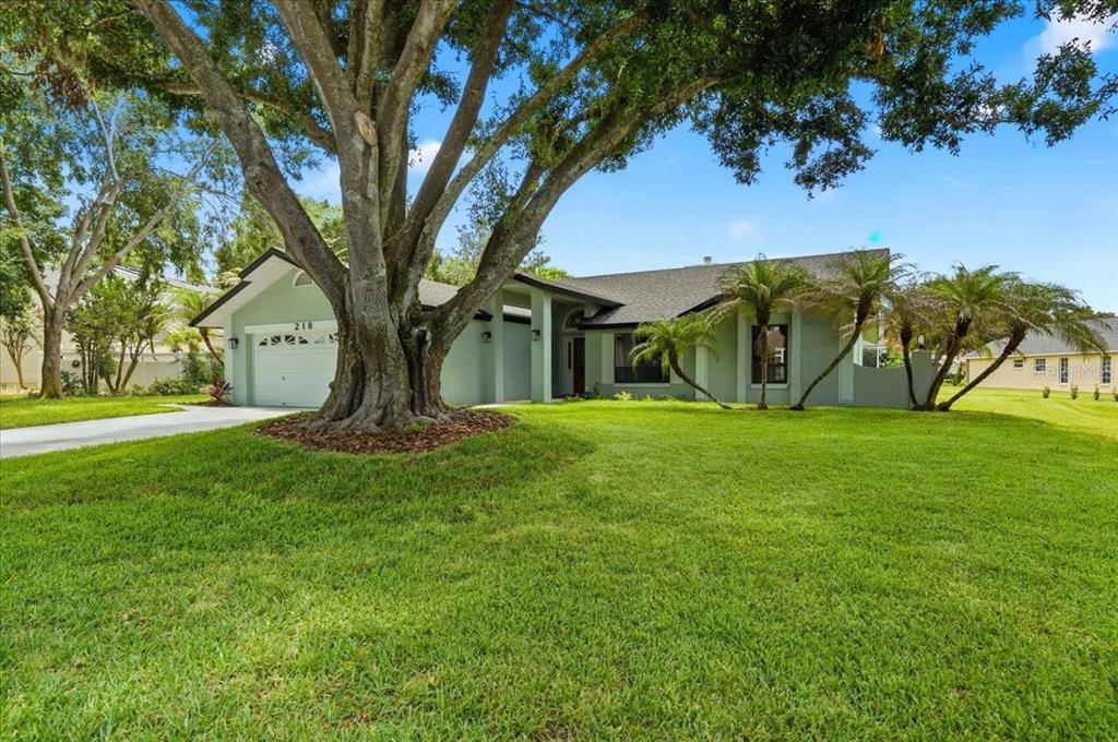 A light green single-story house with a large tree in the front yard — 218 LAKE HARTRIDGE DRIVE NW, WINTER HAVEN, FL