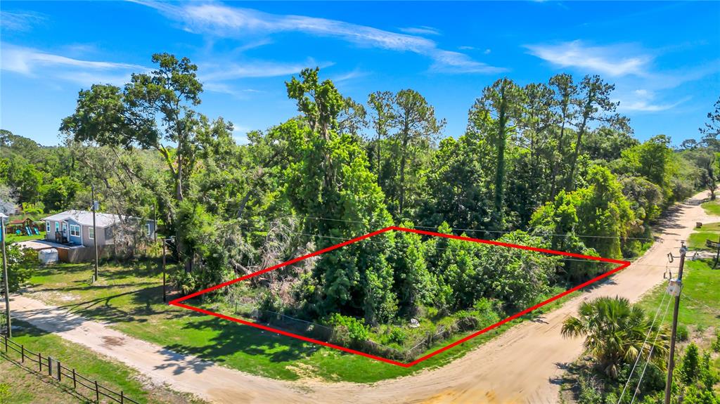 40850 PINE TREE LANE, EUSTIS, FL — photo 2 of 22