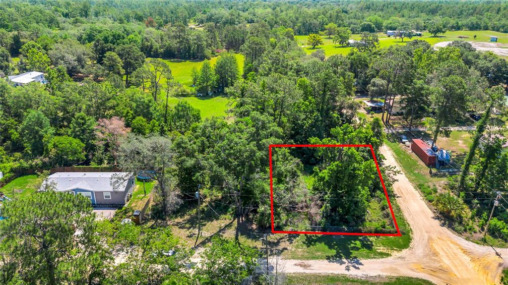 40850 PINE TREE LANE, EUSTIS, FL — photo 3 of 22