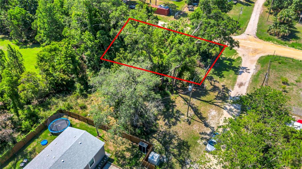 40850 PINE TREE LANE, EUSTIS, FL — photo 4 of 22