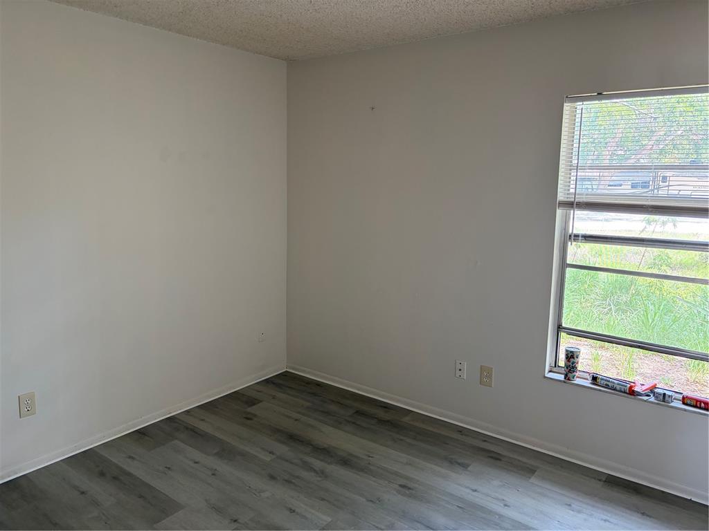 An empty bedroom features light gray walls, wood-look vinyl flooring, and a single window — 176 MARGIE STREET, PALM HARBOR, FL