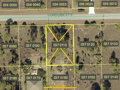 This is a satellite map view showing a highlighted rectangular land parcel with surrounding lots — 1246 Cordoba Street E, Lehigh Acres FL 33974, LEHIGH ACRES, FL