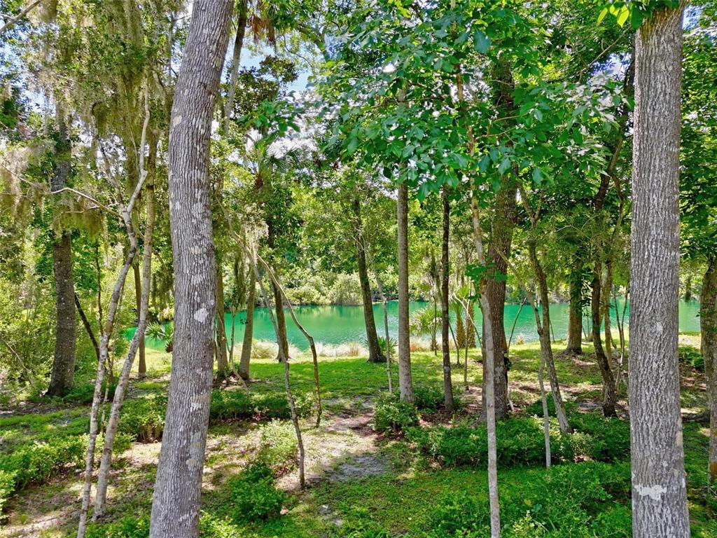 A view of a bright green pond through a wooded area with many trees — 23 CREEKSIDE DRIVE, PALM COAST, FL