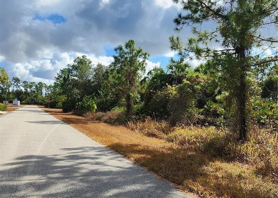 A paved road runs alongside a wooded lot with pine trees and native vegetation — FILBERT STREET, NORTH PORT, FL