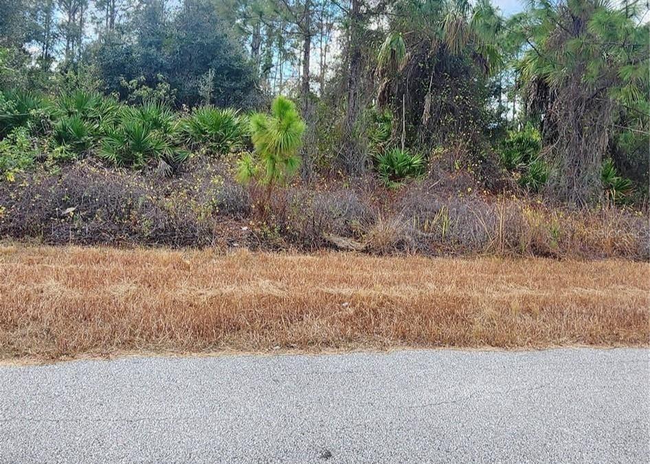 A paved road borders a vacant, overgrown lot with trees and shrubs — FILBERT STREET, NORTH PORT, FL