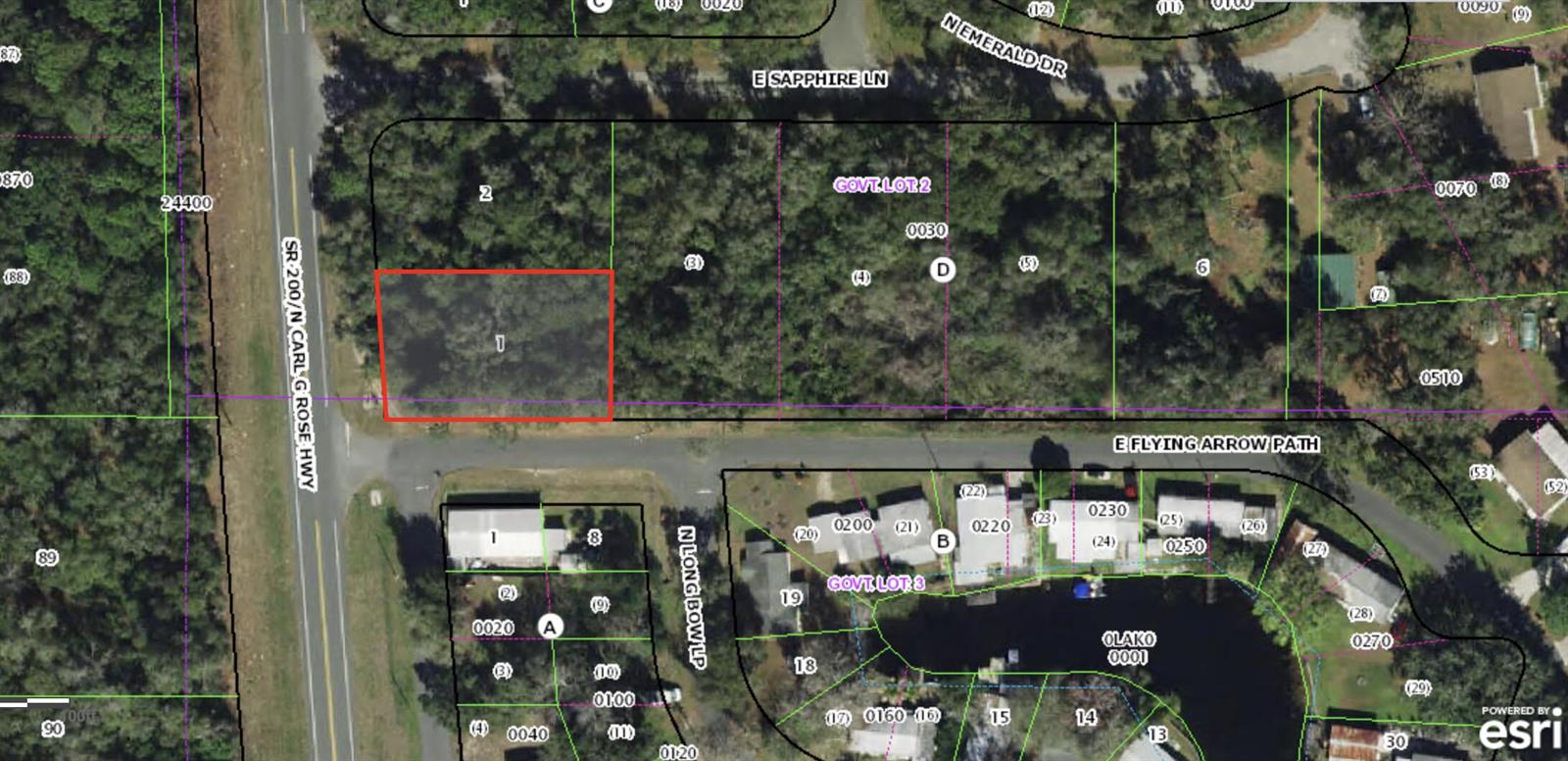 This is a satellite map showing a highlighted rectangular parcel of land near a road — 4955 N Carl G Rose Highway, FL 34442, FL
