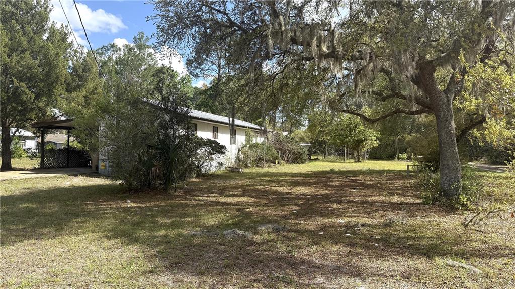 A single-story house with a carport sits on a grassy lot shaded by large trees — 28520 HOLLY AVENUE, PAISLEY, FL