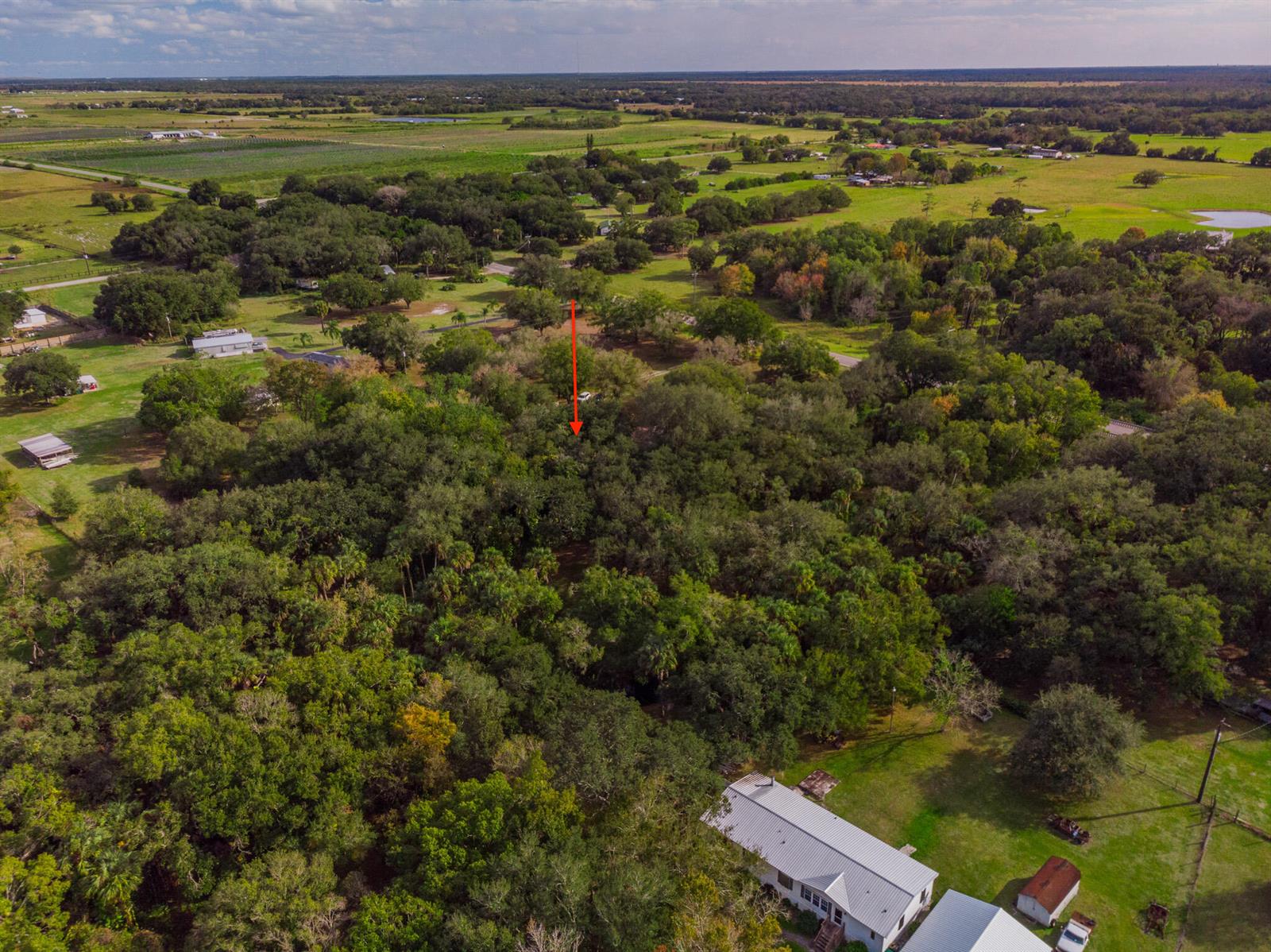 An aerial view shows a wooded property with a red arrow pointing toward a vehicle — 3453 NW 160th Street, Okeechobee FL 34972, OKEECHOBEE, FL
