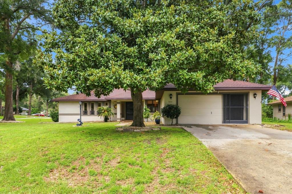 A single-story house with a large magnolia tree in the front yard and a driveway — 9251 SW 192ND COURT, DUNNELLON, FL