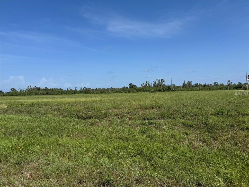 A wide, flat, grassy field stretches toward a distant line of trees under a blue sky — 4 CROTON COURT, PLACIDA, FL