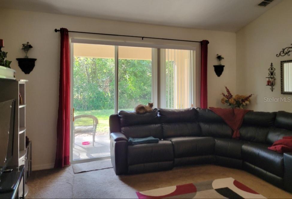 A living room features a large sectional sofa, sliding glass doors, and a cat resting — 5419 OXFORD MANOR CIRCLE, LAKELAND, FL