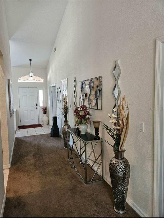 A hallway with brown carpet, a metal console table, and decorative wall art and vases — 5419 OXFORD MANOR CIRCLE, LAKELAND, FL
