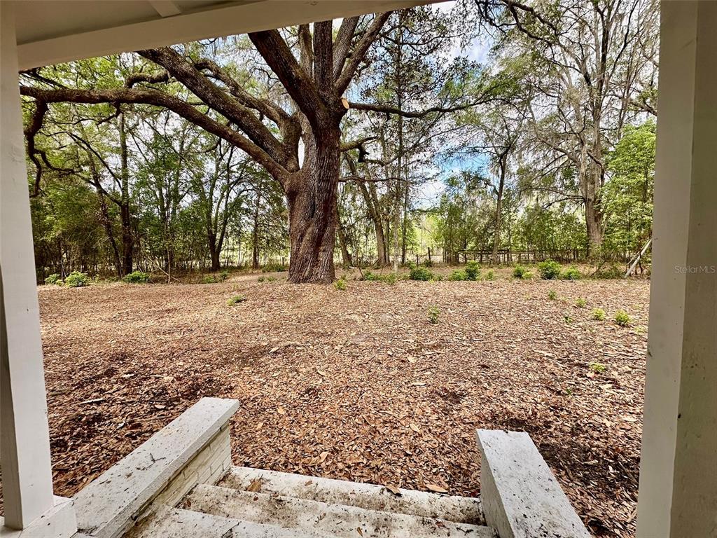 A view from a porch looking out over a yard with a large oak tree — 13647 NE 141ST DRIVE, WALDO, FL