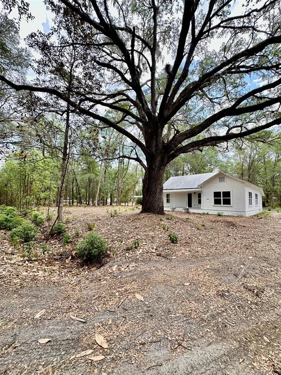 A white, single-story house sits on a wooded lot beneath a large, sprawling oak tree — 13647 NE 141ST DRIVE, WALDO, FL