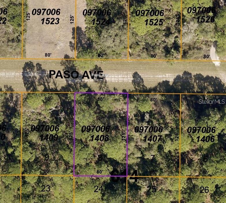 This is a satellite map view showing a rectangular plot of land highlighted in purple — PASO AVENUE, NORTH PORT, FL