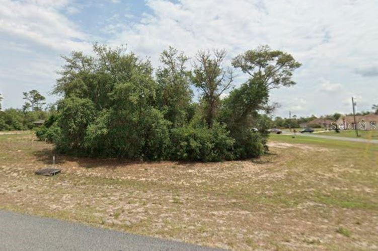 A vacant, grassy lot features a dense cluster of trees and shrubs in the center — SW 36TH AVENUE, OCALA, FL