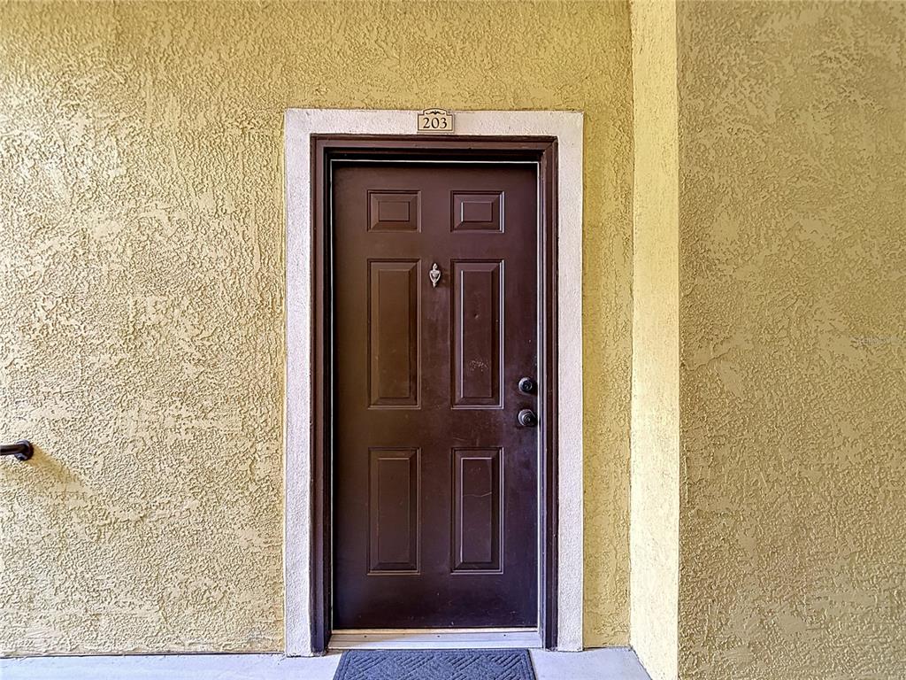 A brown front door with the number 203 above it is set in a stucco wall — 10201 COURTNEY PALMS BOULEVARD UNIT 203, TAMPA, FL