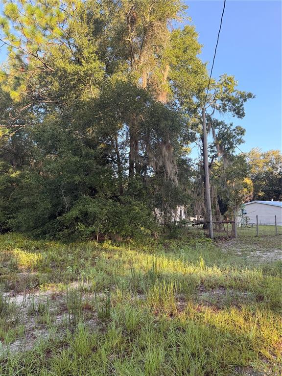 A grassy, undeveloped lot features large trees with Spanish moss and a nearby utility pole — 115 ORANGE TREE COURT, MELROSE, FL