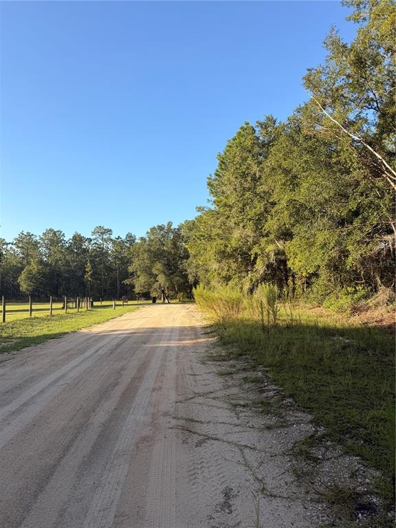 A dirt road runs alongside a grassy field and a line of trees — 115 ORANGE TREE COURT, MELROSE, FL