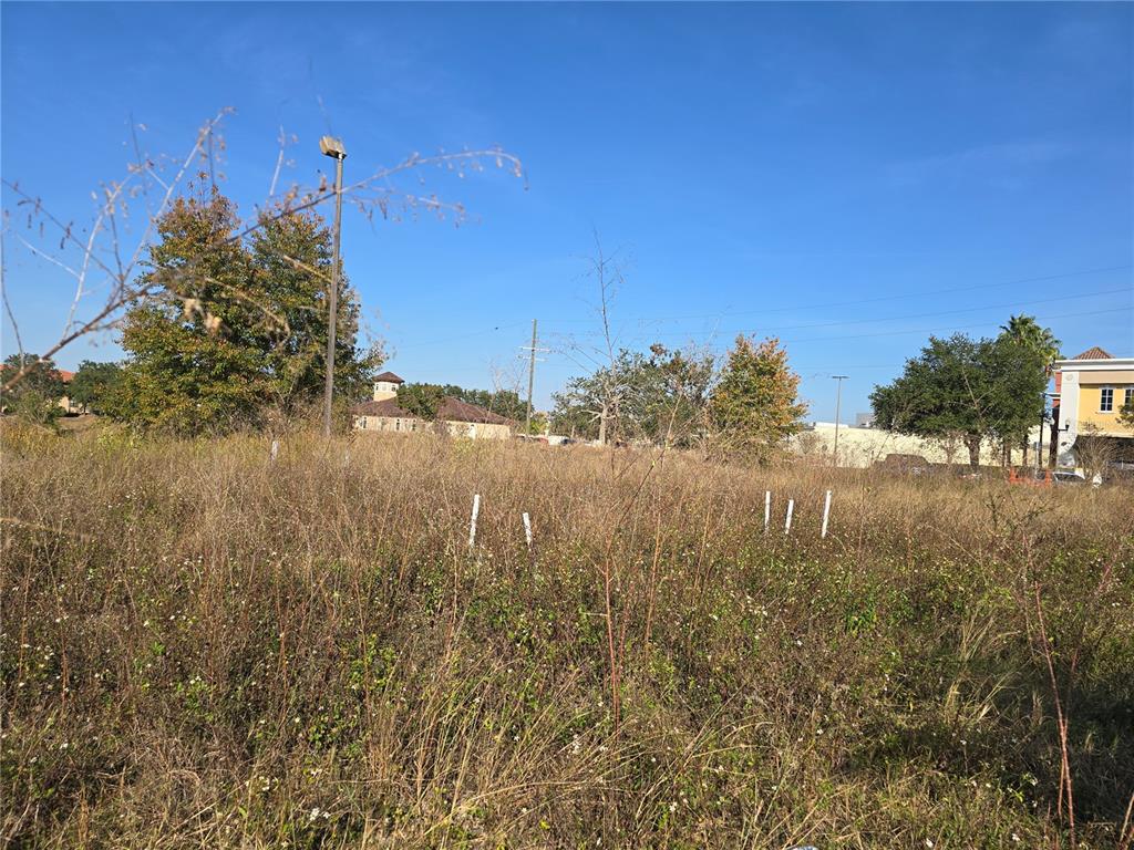 An overgrown vacant lot features several white survey stakes under a clear blue sky — 811 RETREAT BOULEVARD UNIT 201, DAVENPORT, FL